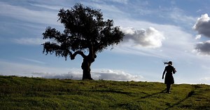 Portugal sobe no índice de desenvolvimento humano mas continua em lugar modesto