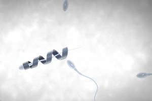 The Tiny Motors That Could Solve a Male Fertility Problem