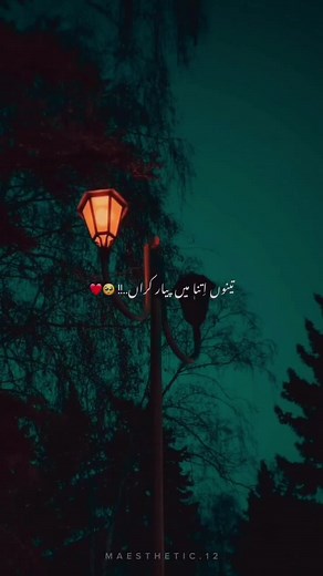 Tenu Itna Main Pyar Kara: Full Song & Status