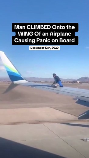 Man CLIMBED Onto the WING Of an Airplane Causing Panic on Board | Airplane