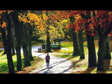 Morning Walk in a Beautifull Village Of Lancashire/England village life/Uk Vlog/Rural Life/Uk Villag