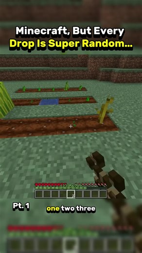 Minecraft Random Drops Challenge Explained