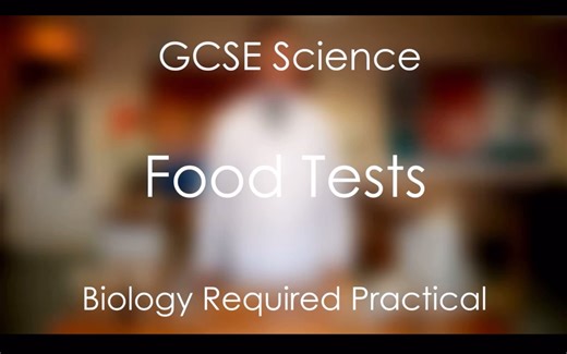 生物-食品检测（定性分析）| Food Tests - GCSE Science Required Practical