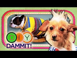 HOW-TO Make Dog Shirts - DIY DAMMIT!