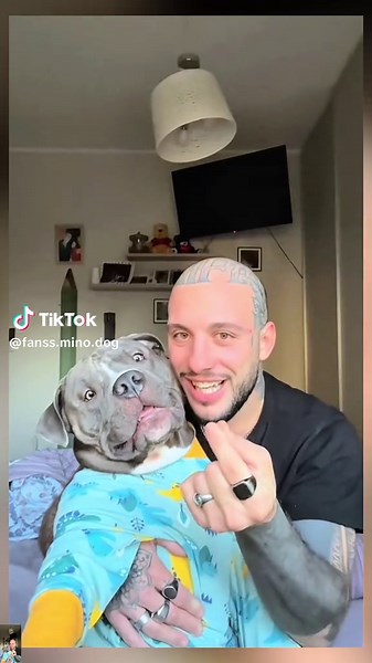 Mino the Adorable Dog: Heartwarming Moments