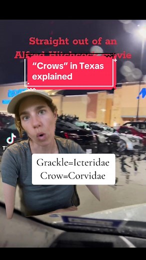 Kaeli Swift, PhD on TikTok