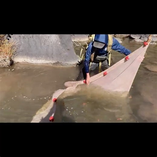 POV: Pulling Up a Seine of Fish 🐟 | Up Close Fishing Action