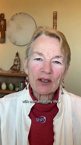 50 reactions · 24 shares | Imagine truly understanding what your...