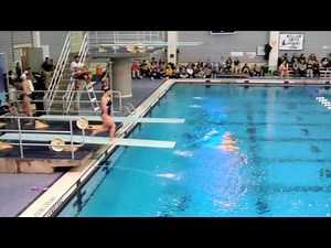 5132D - 1-Meter Diving - Forward 1.5 SS 1 Twist