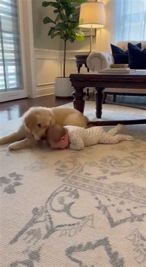 This Puppy Brings Endless Smiles to the Baby 😄