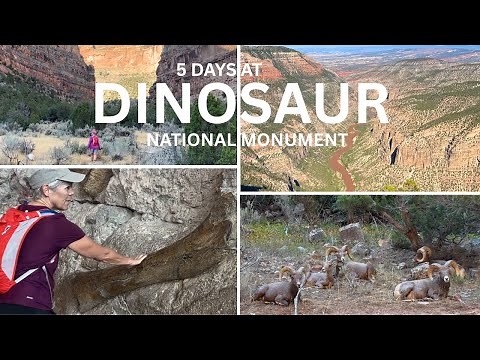 A Comprehensive 5 Day Tour of Dinosaur National Monument
