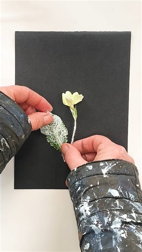 💚💐I saw my first primroses today at National Trust - Trelissick whilst visiting the gorgeous Cornwall Crafts Gallery. The name "Primrose" comes from the Latin prima rosa, meaning "first rose." Swedish botanist Carl Lin-naeus classified it under the Primula genus in 1753. Historically, primroses were valued for their medic-inal uses, with Tudor herbalists like Nicholas Culpeper and John Gerard recommending them for arthri-tis, insomnia, headaches, and wounds. Folk remedies included using primro