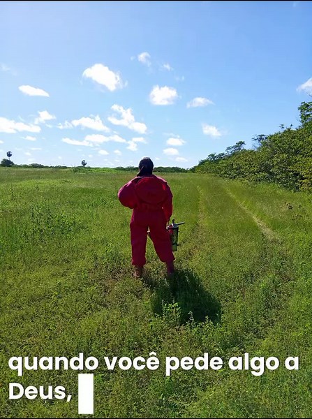 Apicultura: guia essencial para começar com abelhas