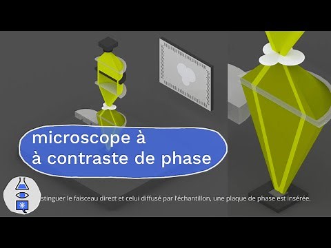 microscopie à contraste de phase et champ sombre