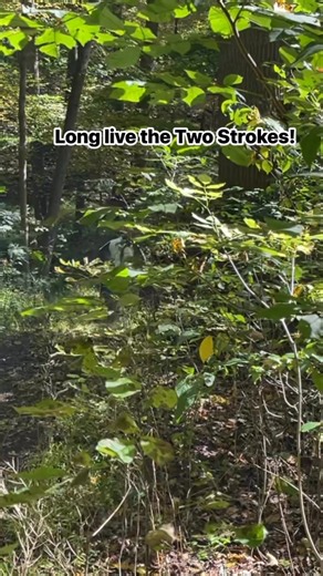 Long Live the Two Strokes! | CycleDrag