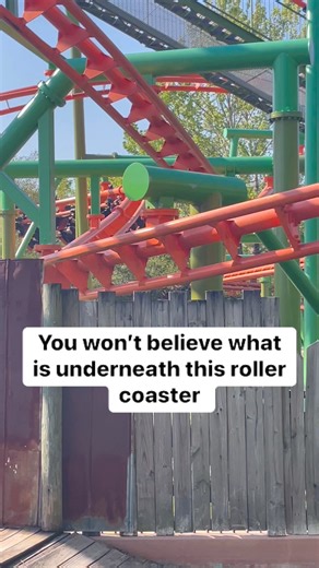 Swamp Thing roller coaster at Wild Adventures #rollercoaster #amusementpark #alligator | In The Loop