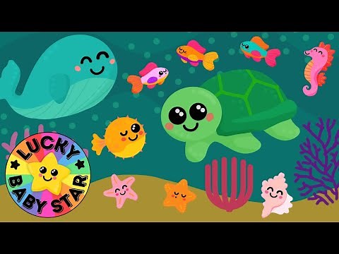 💤 Under the Sea Bedtime Baby Sensory 🐠 Calming Sleepy Time Videos For Toddlers - No Ads 🌊