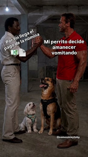 Yo pensando en ahorrar.. mi perrito: hoy no 🐶🐶💸😅#adopta #perritos #humor #doginfluencers #maltese