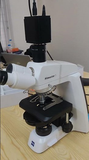 Microscope Basics | ZEISS Primostar 3