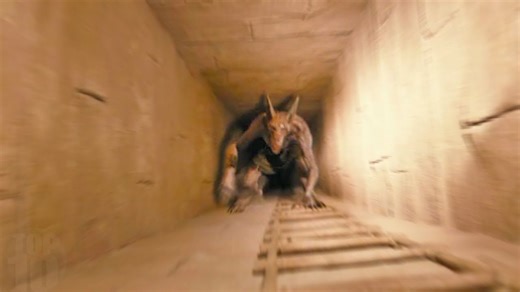 An Egyptian Discovery That Alarmed Scientists Worldwide