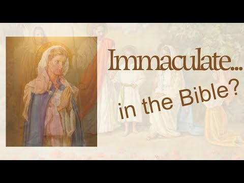 Immaculate Conception ≠ Virgin Birth — 3 Scriptural Truths I Wish I Knew Earlier