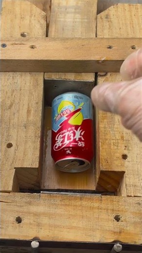 Surprises Await: Finding Fun in Every Spin!