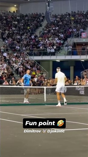 Fun point between Djokovic and Dimitrov ! 👌 #tennis #djokovic #shorts