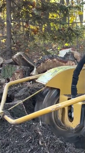 Excavator vs Tree Stump – Powerful Stump Cutting in Action