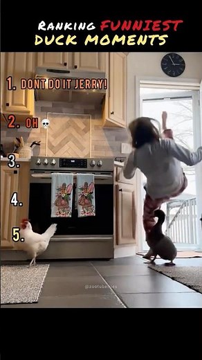 Ranking The Funniest Duck Moments