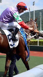 2K views · 556 reactions | WINNING DRAGON gets out late to capture the Hong Kong, China’s Paris 2024 Olympic Team Celebration Cup for @brentonavdulla and Tony Cruz! #HKRacing | Hong Kong Racing | Facebook