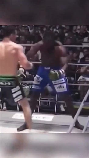 UFC Highlights: Best Moments in MMA and Boxing