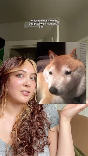 Diana Fay on Instagram: "This is also why I haven’t worn makeup on stream lately, I’m still in the cooldown period. Anyway here’s more of me demystifying my glow-up process! #glowup #prf #aesthetic #darkundereye #dianaoftherose #filler"