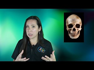 Top 5 Biological Anthropology - 2025