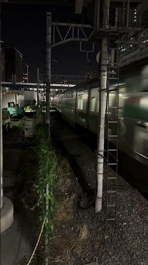品川駅にて湘南新宿ライン