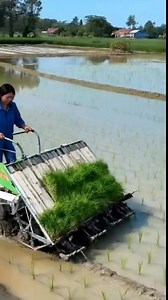 189K views · 783 reactions | Super Fast! Rice Transplanter  | X-Vans | Facebook