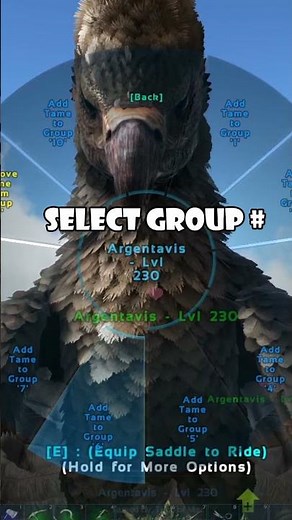 Taming Groups