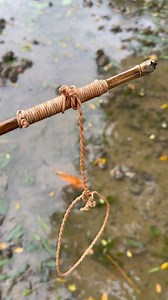 9.4M views · 10K reactions | Unique fishing idea #bigfish #fishvideo #reels | Rural Fishing Life | Facebook