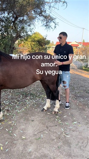 Mateo y su Yegua: Un Amor Verdadero