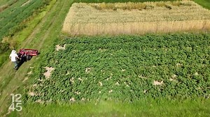 Une étude compare depuis 1978 l'agriculture bio face à la conventionnelle - 12h45 - Play RTS