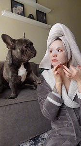 89K views · 1.8K reactions | Marvel want it too <3 #marvel #frenchie #frenchiepuppy #frenchielife | Ellen Marvel | Facebook