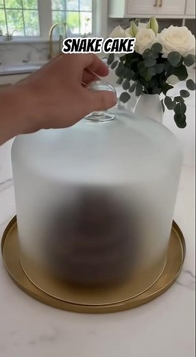 snake cake #wtf #snake