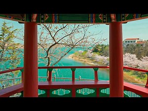 [4K HDR] Exploring Gangwon Province 2021 in Yeongrang Lake and Sokcho Beach Relaxing Nature Sounds