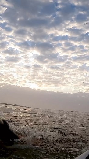 2.4K views · 62 reactions | Gearoid Mcdaid scored 7 barrels on 1 wave...