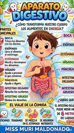 Sistema Digestivo para niños y niñas #educacionautodidacta #maestradepreescolar #niñosyniñas #roblox