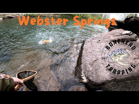 Trout Fishing The Elk River In West Virginia