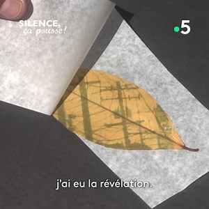 1.2M views · 18K reactions |  Faire de la photo sur des feuilles, c'est possible !  Inventé au Brésil il y a plus de 100 ans, ce procédé s'appelle la "chlorographie". Rencontre avec un passioné dans Silence ça pousse sur france.tv ►bit.ly/SCP_Chloro | France tv nature | Facebook