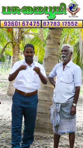 எப்படி நடவு செய்யணும் தெரியுமா ❗🤔✅Do you know how to plant it❓😮🌱 #agriculture #trending #fyp