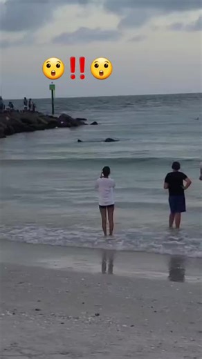 Exploring Florida's Beautiful Outdoor Adventures