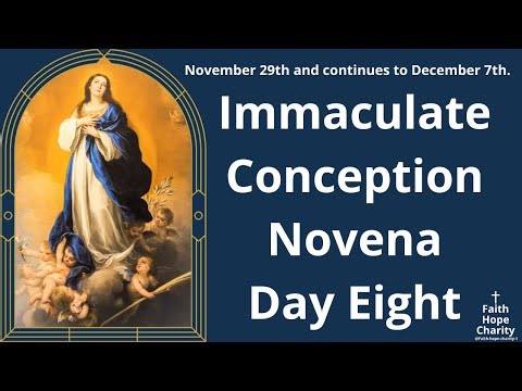 Immaculate Conception Novena | Day-8
