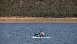 SUP Pup 101: How to Paddleboard with Your Dog | Ruffwear UK